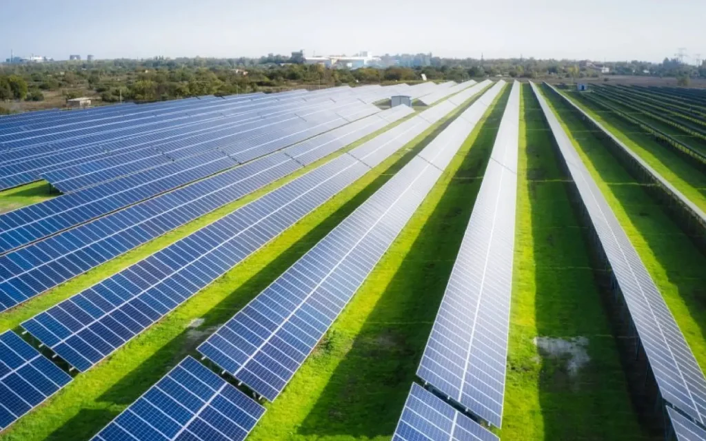 Solar farm panels in natural sunlight